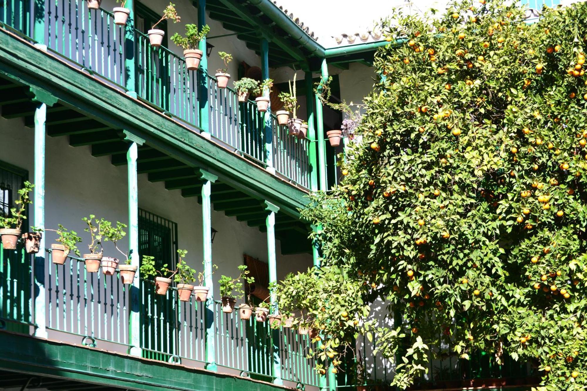 Estudio Las Setas I Seville Luaran gambar